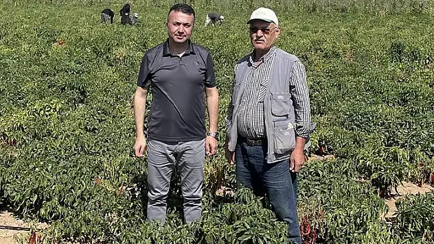 Beyşehir'de çiftçiler ürün zararlılarına karşı bilgilendiriliyor