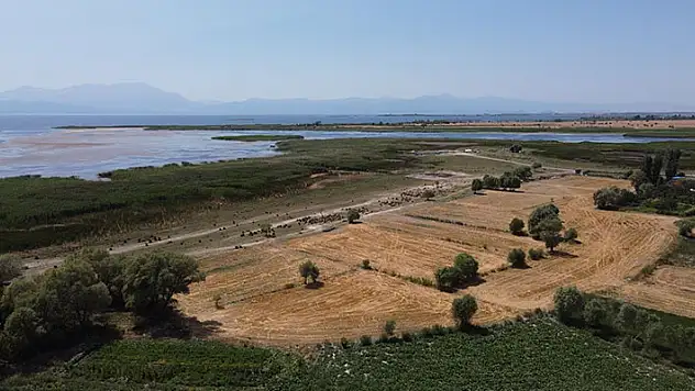 Beyşehir'de çiftçilere anız yakılmaması çağrısı