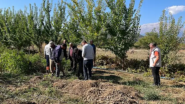Beyşehir'de çiftçilere tarla faresiyle mücadele eğitimi