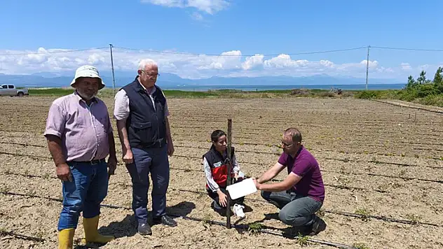 Beyşehir'de domates güvesi ile mücadele başladı
