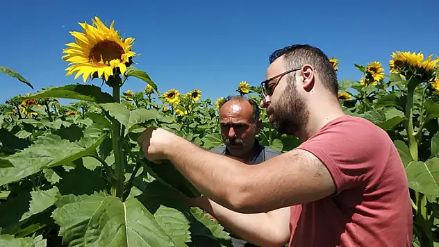 Beyşehir'de ekili alanlarda hastalık ve zararlı kontrolleri sürüyor
