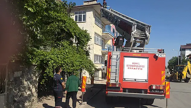 Beyşehir'de itfaiyenin kedi kurtarma seferberliği