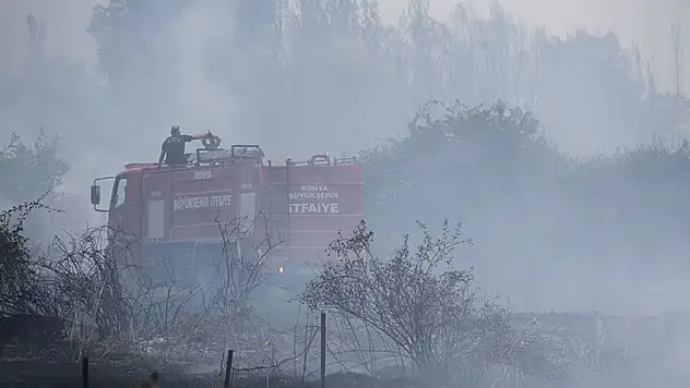 Beyşehir'de kampüs yakınlarındaki yangın korkuttu