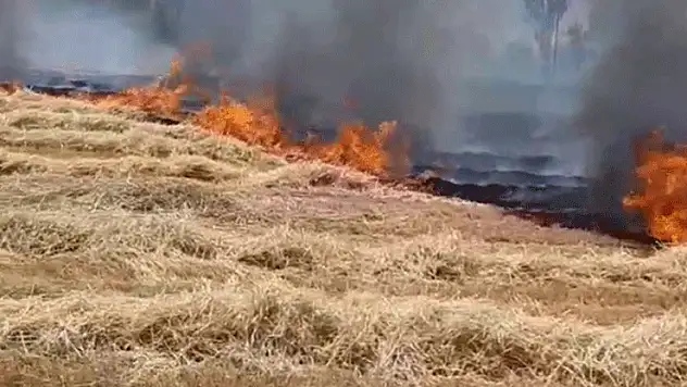 Beyşehir'de korkutan anız yangını, evlere sıçramadan söndürüldü