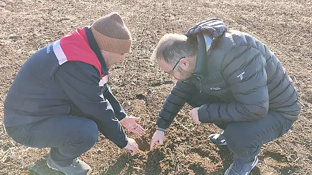 Beyşehir'de meyve bahçeleri denetlendi