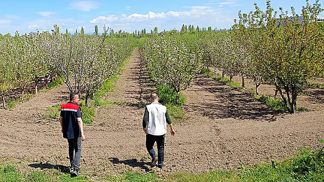 Beyşehir'de meyve bahçeleri hastalık ve zararlılara karşı kontrol edildi