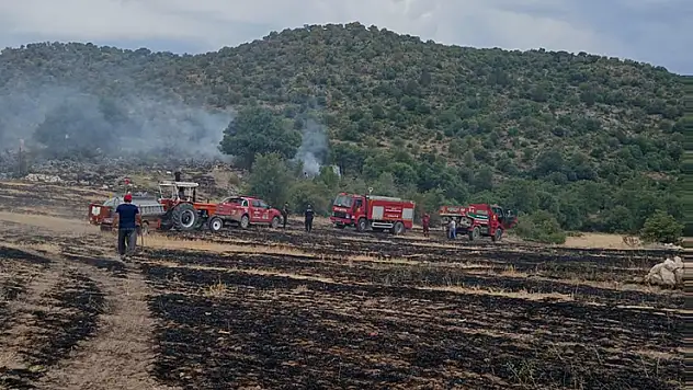 Beyşehir'de ormana sıçrayan anız yangını korkuttu