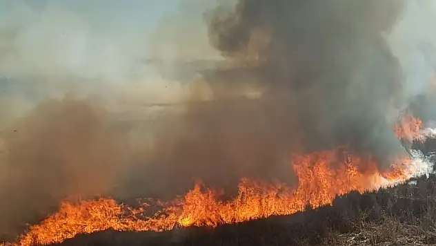 Beyşehir'de sazlıklar alev alev yandı