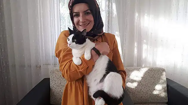 Beyşehirli anneler bu kez hasta hamile kedinin imdadına  yetişti