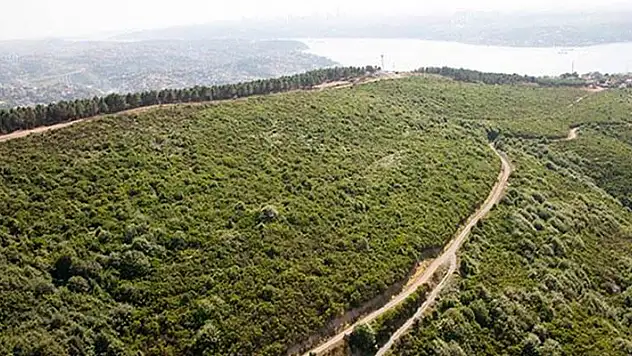 Bilecik'te Hazine taşınmazları satışa çıktı
