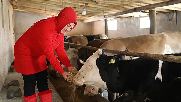Bileziklerini satarak hayvancılığa başlayan girişimci kadın taleplere yetişemiyor
