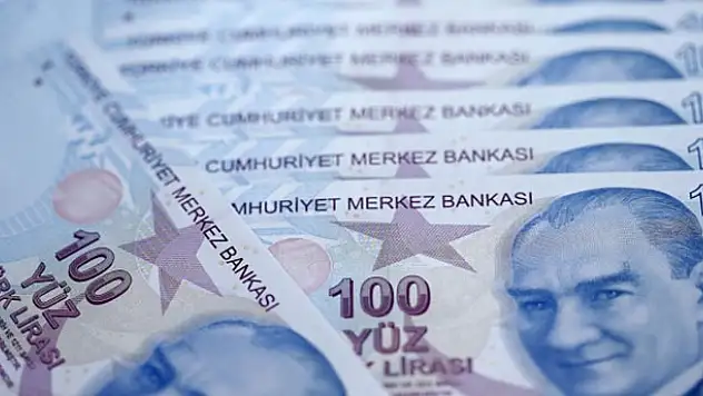 Bilişim sektörüne 102 milyon lira destek