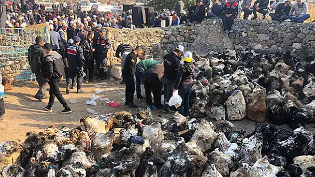 Bin yıllık peynir geleneği Konya'da yaşatılıyor