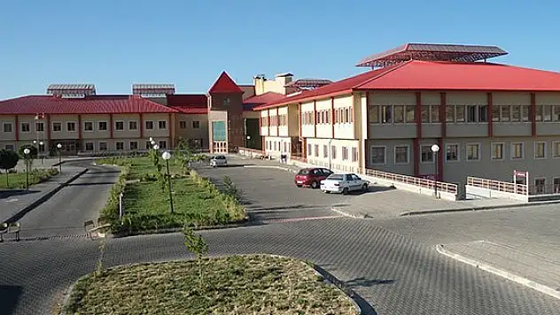 Bingöl'de 'Domuz Gribi' endişesi