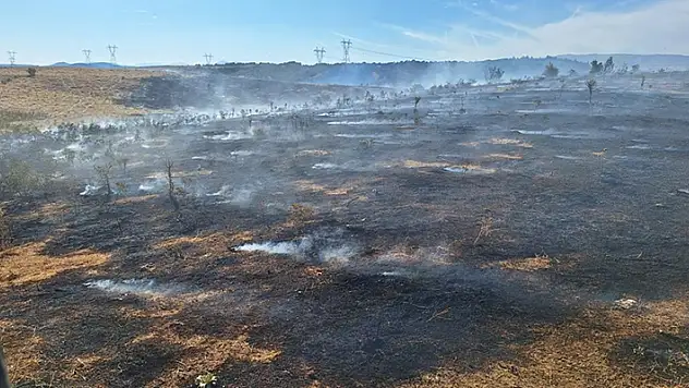 Bingöl'de ormanlık alanda çıkan yangın söndürüldü
