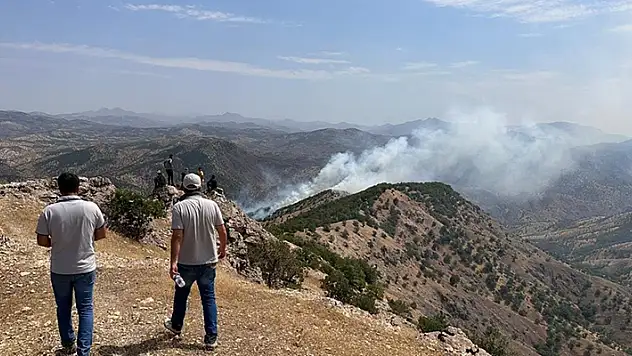 Bingöl'de ormanlık alanda çıkan yangına müdahale ediliyor
