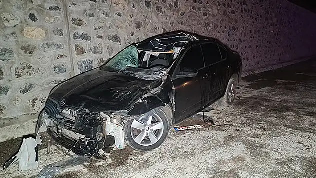 Bingöl'de yola çıkan ata otomobil çarptı: 1 ölü, 5 yaralı
