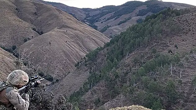 Bingöl, Diyarbakır ve Muş'ta 'Yıldırım-9 Şenyayla Operasyonu' başladı
