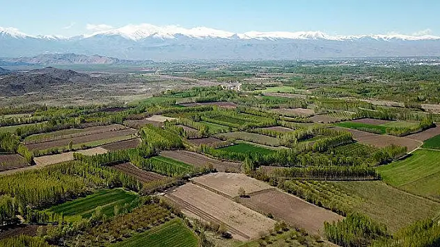 Bingöl'ün Kiğı ve Yayladere bulunan tarım arazileri ihaleyle satılacak
