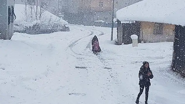 Bingöl'de kar yağışı nedeniyle tüm okullar tatil edildi

