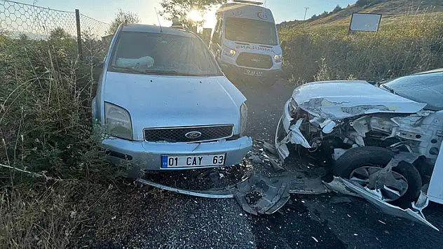 Bingöl'de trafik kazası: 3 yaralı