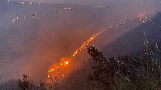 Bingöl'deki orman yangını, 8 saatte söndürüldü
