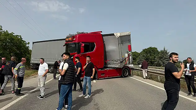 Bir arı yüzlerce kişiyi mağdur etti