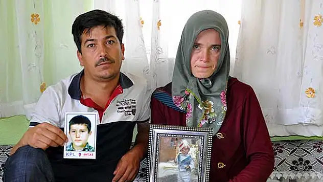 Bir fotoğraf bile umutlarını yeşertti