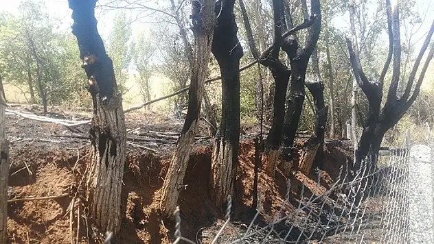 Bir kıvılcımla yangını başlattı, alevlerin büyüdüğünü görünce kaçtı