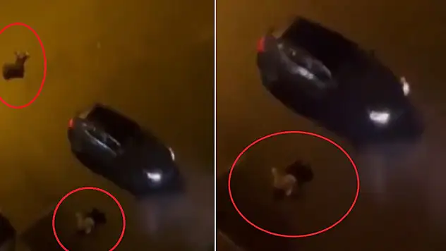 Birlikte yaşadığı kadın ve yanındaki erkeği öldüren kişi gözaltına alındı
