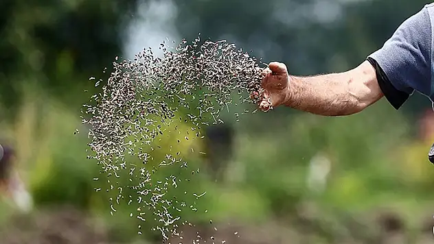 Bitki çeşitlerinin kayıt altına alınmasına ilişkin esaslar belirlendi
