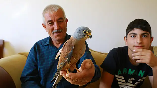 Bitkin halde bulunan kerkenez kuşu kurtarıldı