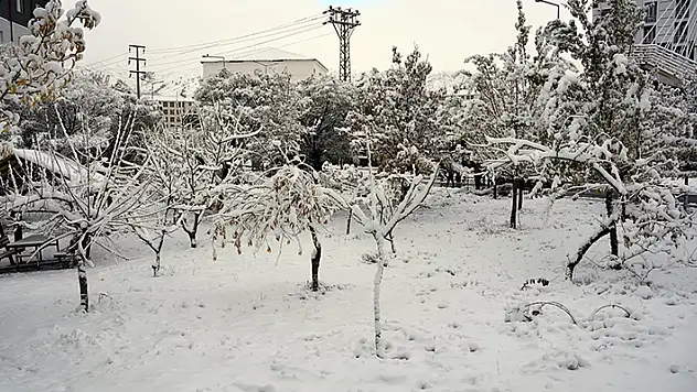 Bitlis'in yüksek kesimlerinde kar kalınlığı 30 santimetre oldu

