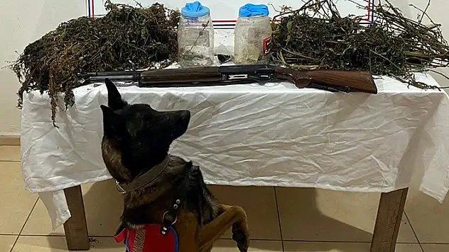 Bitlis'te 3 kilo 960 gram kubar esrar ele geçirildi 1 tutuklama
