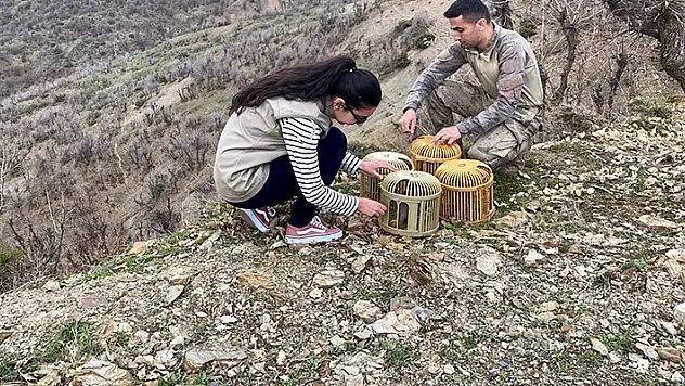 Bitlis'te kaçak keklik avlayan 3 kişiye 67 bin 703 TL ceza kesildi
