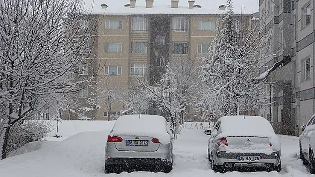 Bitlis'te kardan kapanan 60 köy yolu ulaşıma açıldı