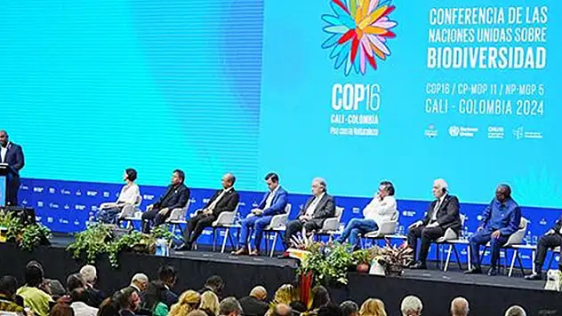 BM COP16 Biyoçeşitlilik Zirvesi'nin kapanışında yerli halkları sevindiren iki anlaşma onaylandı