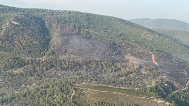 Bodrum'daki orman yangını 18 saat sonra kontrol altına alındı