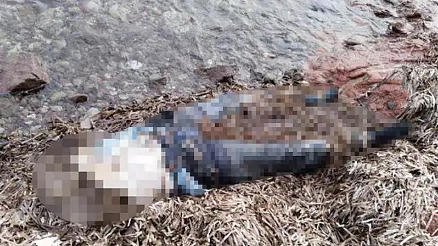 Bodrum'da dehşete düşüren görüntü! Belden yukarısı olmayan kadın cesedi bulundu…
