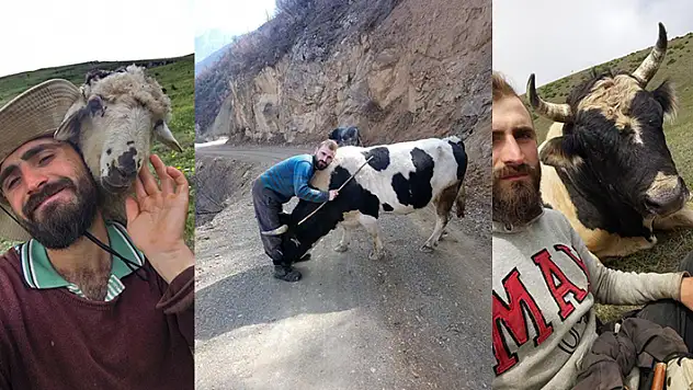 Boğası ve koyunu ile kurduğu iletişim dikkat çekiyor
