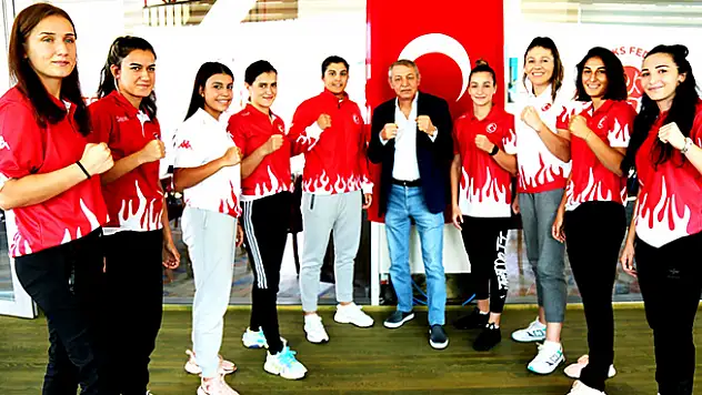 Boksörler, Sırbistan'da terleyecek