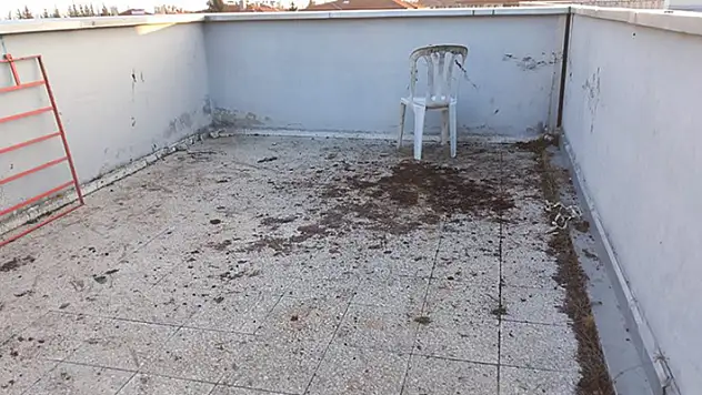 Bolu'da film senaryolarını aratmayacak olay! Fidye için 8 yaşındaki çocuğu kaçırıp, ellerini kollarını bağladı
