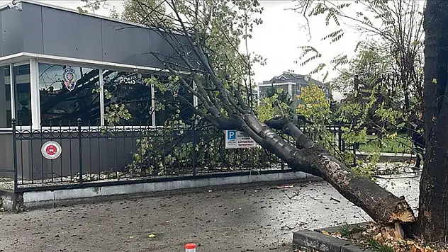 Bolu'da rüzgarda devrilen ağaç polis noktasının üzerine düştü
