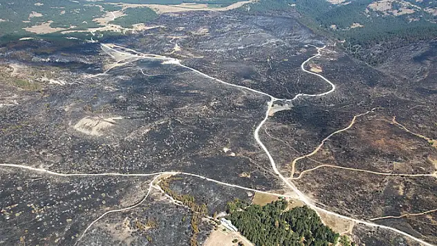 Bolu'da söndürülen yangının feci boyutu gün ağarınca ortaya çıktı
