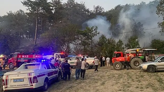 Bolu'daki orman yangını kontrol altına alındı