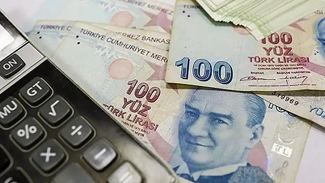 Borç yapılandırmasının bozulmaması için ilk ödeme 31 Temmuz'a kadar yapılmalı
