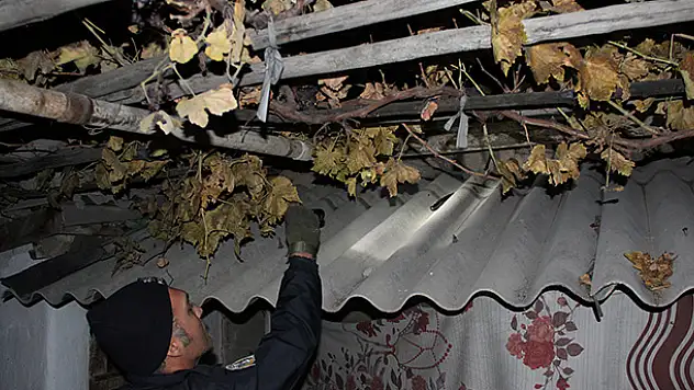 Boşandığı eşi ve eski kayınvalidesini öldürdüğü iddiası