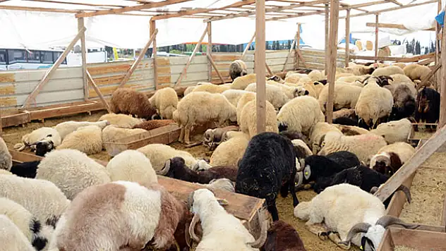Bozkır Belediyesi ilçedeki kurban satış ve kesim yerlerini belirledi