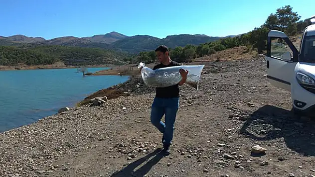 Bozkır Çağlayan Göleti'ne 5 bin yavru sazan bırakıldı