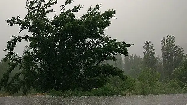 Bozkır Ziraat Odası Başkanı'dan 'dolu zararı' açıklaması